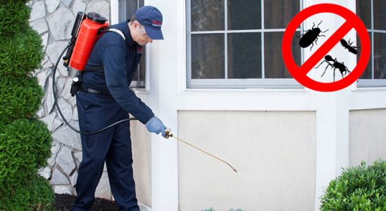 Fethiye Kemirgen İlaçlama böcek ilaçlama ve haşere kontrolü — ilaclama-tr.com